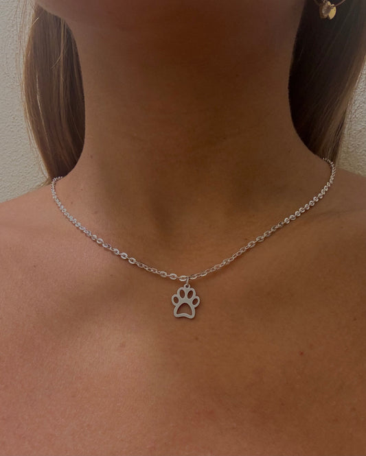 Collana zampa di animale🐾